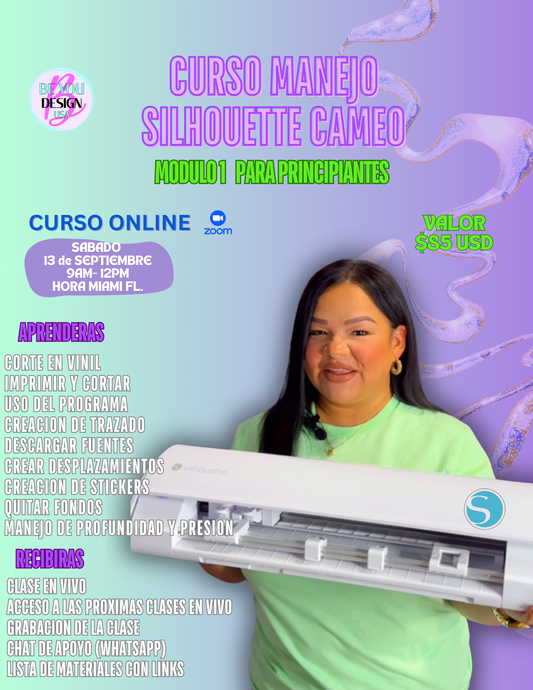 Curso Silhouette Cameo módulo 1